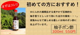 初めての方におすすめ！柚子ポン酢